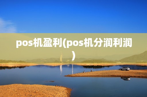 pos机盈利(pos机分润利润)