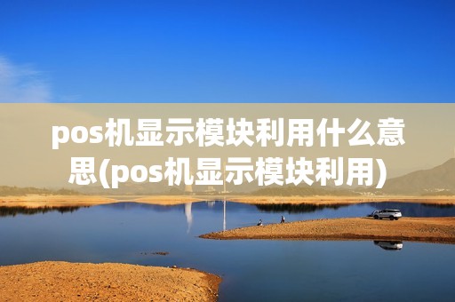 pos机显示模块利用什么意思(pos机显示模块利用)