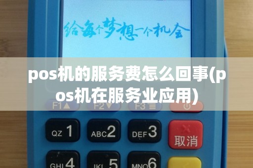 pos机的服务费怎么回事(pos机在服务业应用)
