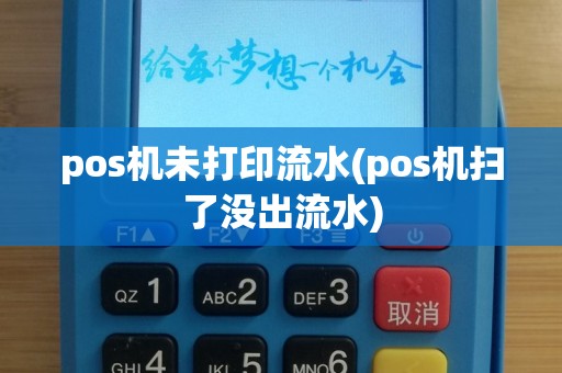 pos机未打印流水(pos机扫了没出流水)