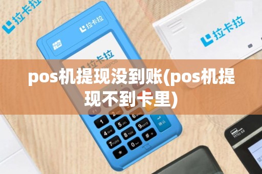 pos机提现没到账(pos机提现不到卡里)
