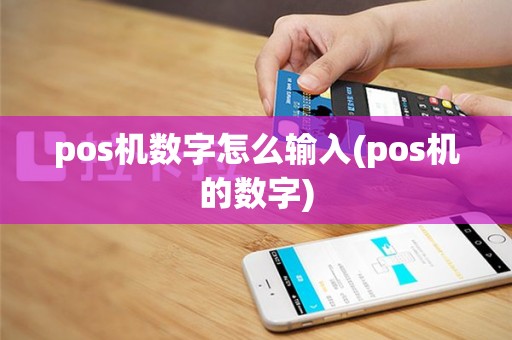 pos机数字怎么输入(pos机的数字)