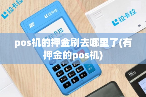pos机的押金刷去哪里了(有押金的pos机)
