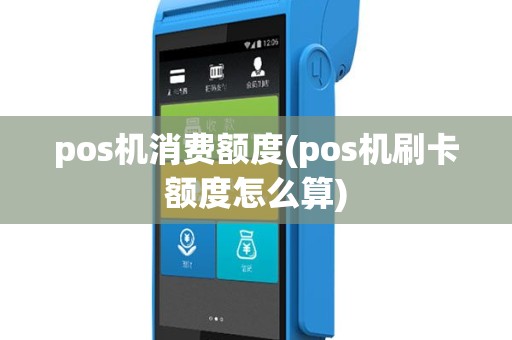 pos机消费额度(pos机刷卡额度怎么算)