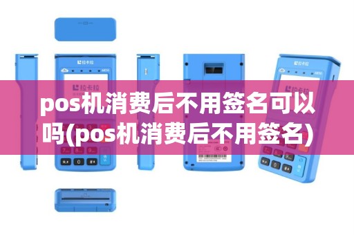 pos机消费后不用签名可以吗(pos机消费后不用签名)