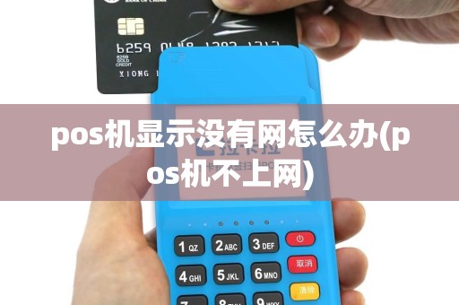 pos机显示没有网怎么办(pos机不上网)
