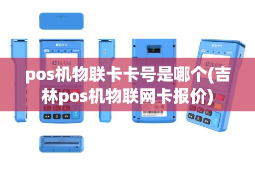 pos机物联卡卡号是哪个(吉林pos机物联网卡报价)