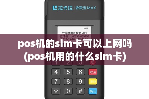 pos机的sim卡可以上网吗(pos机用的什么sim卡)