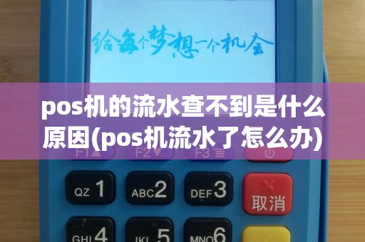 pos机的流水查不到是什么原因(pos机流水了怎么办)