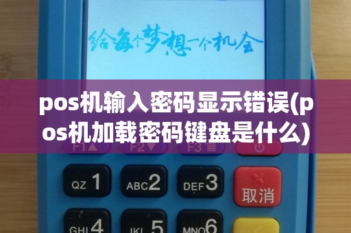 pos机输入密码显示错误(pos机加载密码键盘是什么)