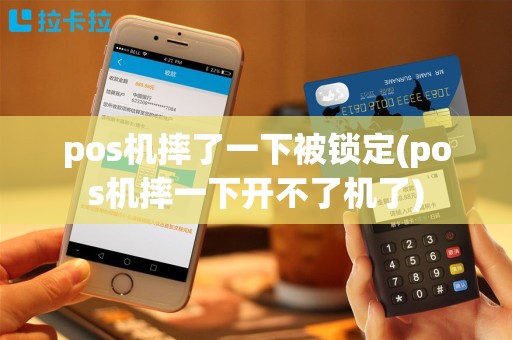 pos机摔了一下被锁定(pos机摔一下开不了机了)