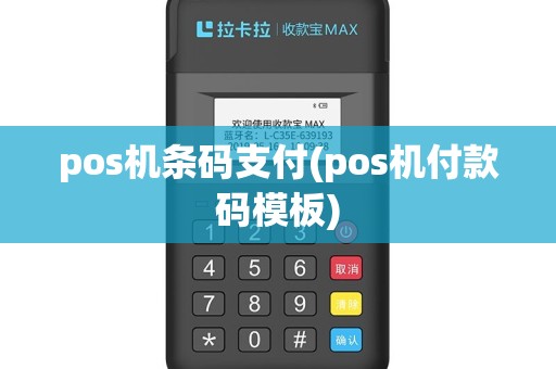 pos机条码支付(pos机付款码模板)