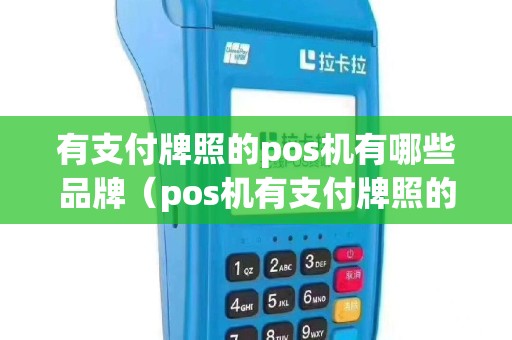 有支付牌照的pos机有哪些品牌（pos机有支付牌照的公司有哪些）