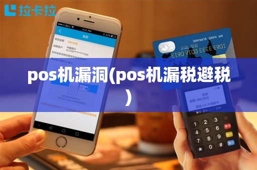 pos机漏洞(pos机漏税避税)