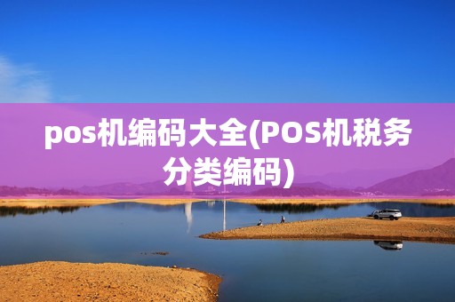 pos机编码大全(POS机税务分类编码)