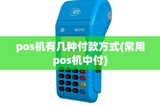 pos机有几种付款方式(常用pos机中付)