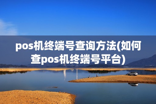 pos机终端号查询方法(如何查pos机终端号平台)