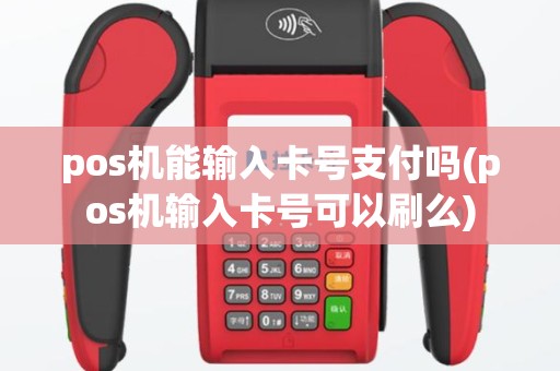 pos机能输入卡号支付吗(pos机输入卡号可以刷么)