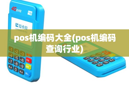 pos机编码大全(pos机编码查询行业)