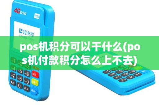 pos机积分可以干什么(pos机付款积分怎么上不去)