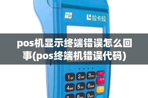 pos机显示终端错误怎么回事(pos终端机错误代码)