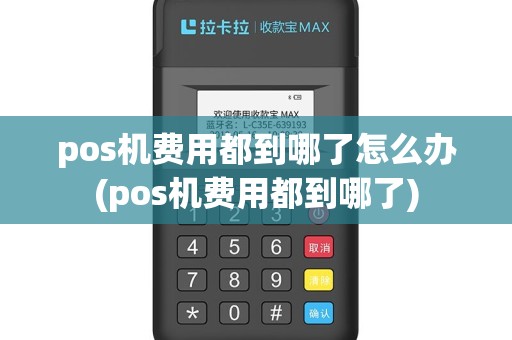 pos机费用都到哪了怎么办(pos机费用都到哪了)