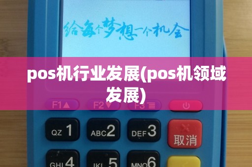 pos机行业发展(pos机领域发展)