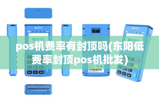 pos机费率有封顶吗(东阳低费率封顶pos机批发)