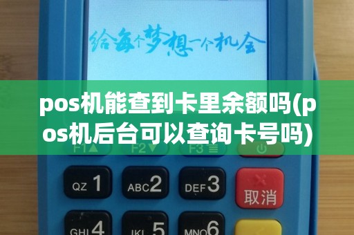 pos机能查到卡里余额吗(pos机后台可以查询卡号吗)