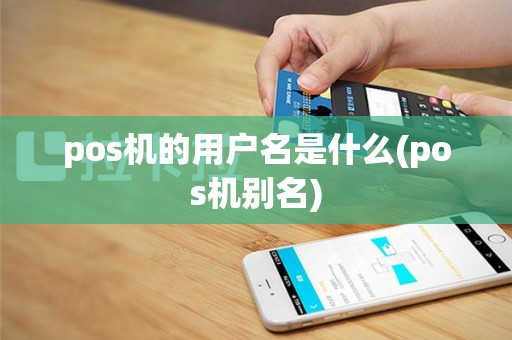 pos机的用户名是什么(pos机别名)