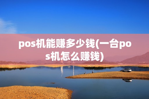 pos机能赚多少钱(一台pos机怎么赚钱)