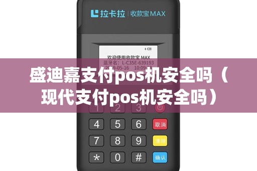 盛迪嘉支付pos机安全吗（现代支付pos机安全吗）
