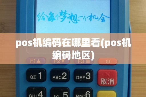 pos机编码在哪里看(pos机编码地区)