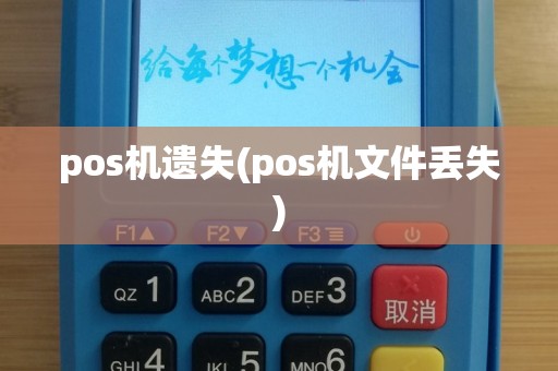 pos机遗失(pos机文件丢失)
