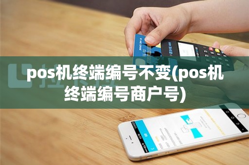pos机终端编号不变(pos机终端编号商户号)