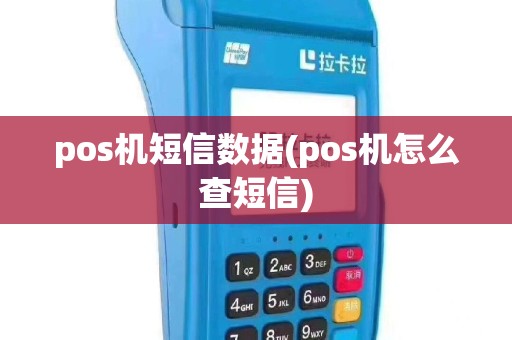 pos机短信数据(pos机怎么查短信)