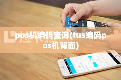 pos机编码查询(tus编码pos机背面)