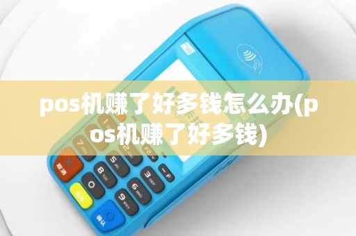 pos机赚了好多钱怎么办(pos机赚了好多钱)