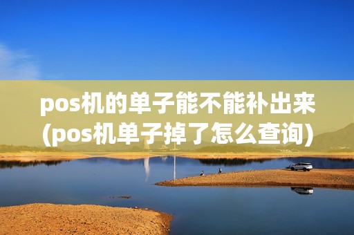 pos机的单子能不能补出来(pos机单子掉了怎么查询)