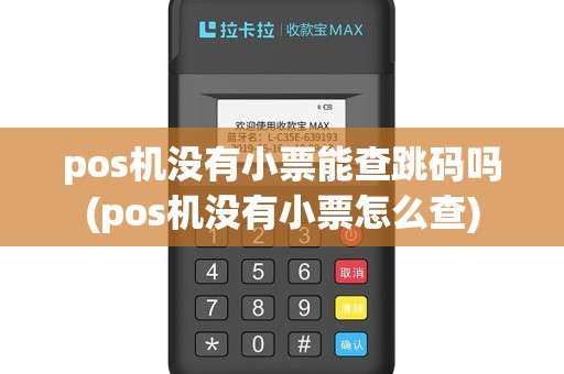 pos机没有小票能查跳码吗(pos机没有小票怎么查)