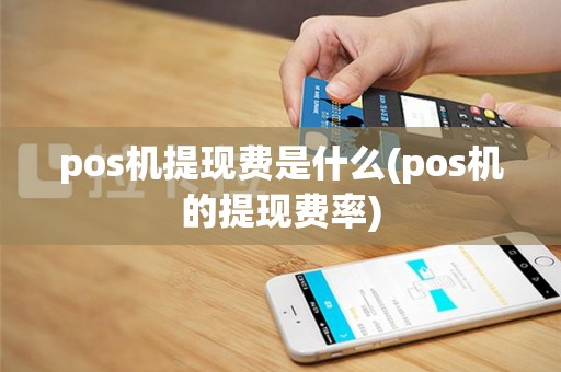 pos机提现费是什么(pos机的提现费率)