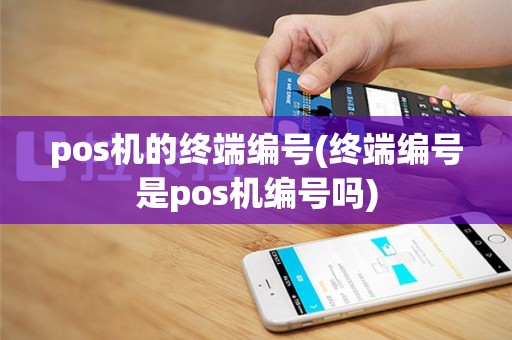 pos机的终端编号(终端编号是pos机编号吗)