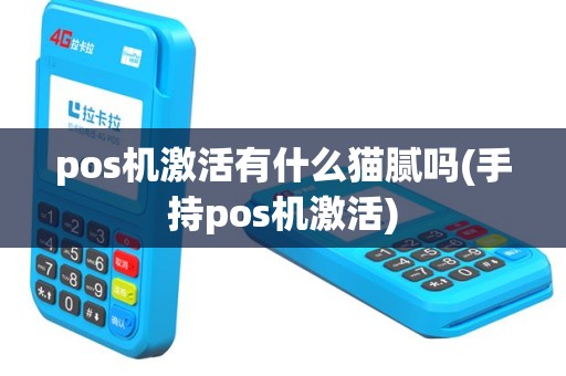 pos机激活有什么猫腻吗(手持pos机激活)