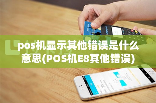 pos机显示其他错误是什么意思(POS机E8其他错误)