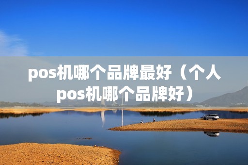 pos机哪个品牌最好（个人pos机哪个品牌好）