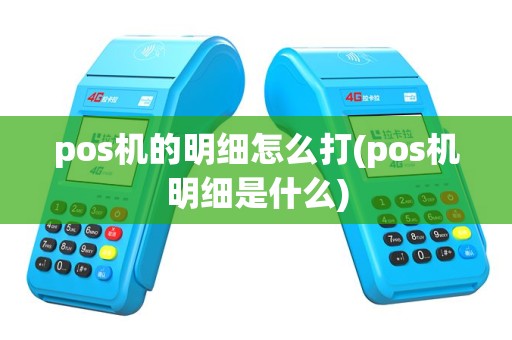 pos机的明细怎么打(pos机明细是什么)
