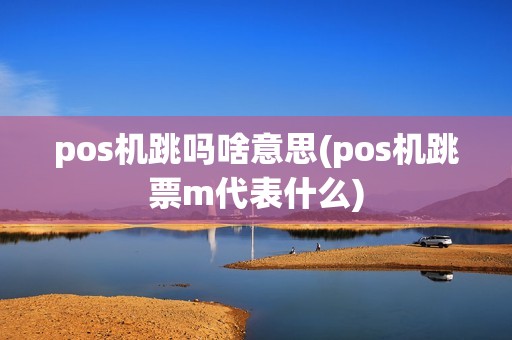pos机跳吗啥意思(pos机跳票m代表什么)