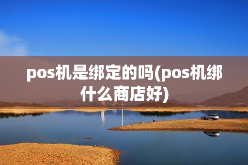 pos机是绑定的吗(pos机绑什么商店好)