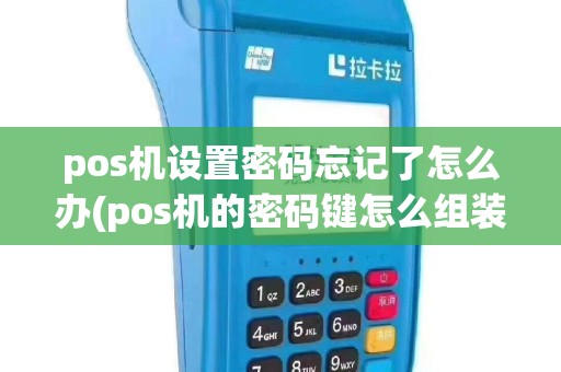 pos机设置密码忘记了怎么办(pos机的密码键怎么组装)