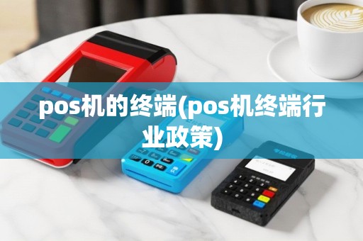 pos机的终端(pos机终端行业政策)